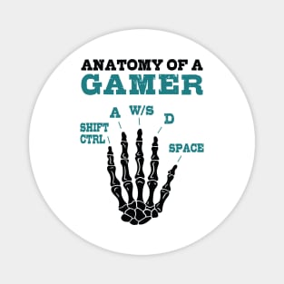 Anatomy Of A Gamer Magnet